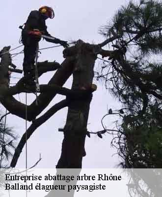 Entreprise abattage arbre 69 Rhône Balland élagueur paysagiste