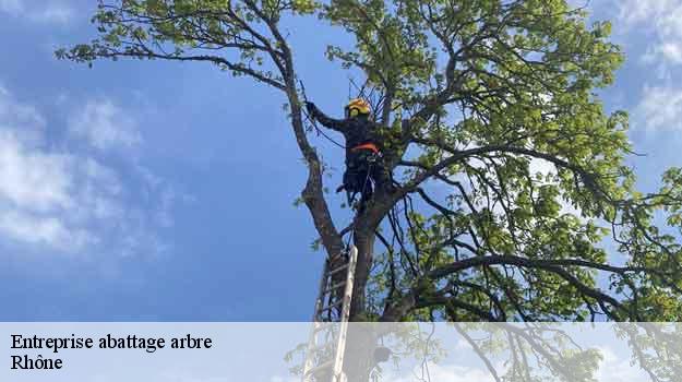 Entreprise abattage arbre 69 Rhône Balland élagueur paysagiste