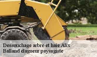 Dessouchage arbre et haie  alix-69380 Balland élagueur paysagiste