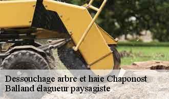 Dessouchage arbre et haie  chaponost-69630 Balland élagueur paysagiste