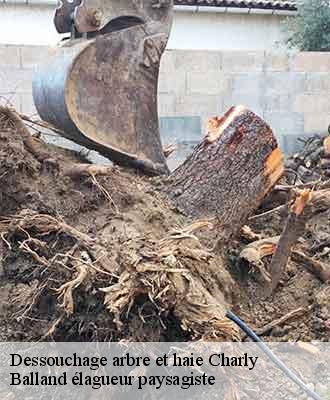 Dessouchage arbre et haie  charly-69390 Balland élagueur paysagiste