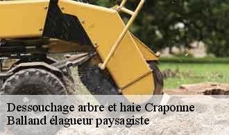 Dessouchage arbre et haie  craponne-69290 Balland élagueur paysagiste