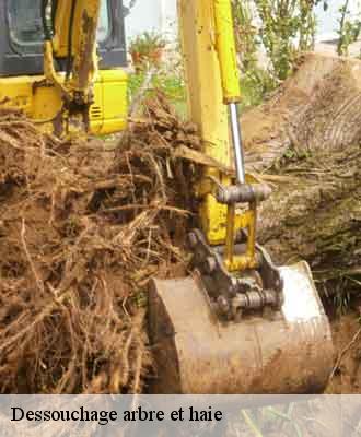 Dessouchage arbre et haie  emeringes-69840 Balland élagueur paysagiste