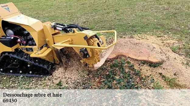 Dessouchage arbre et haie  marchampt-69430 Balland élagueur paysagiste
