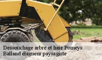 Dessouchage arbre et haie  pomeys-69590 Balland élagueur paysagiste