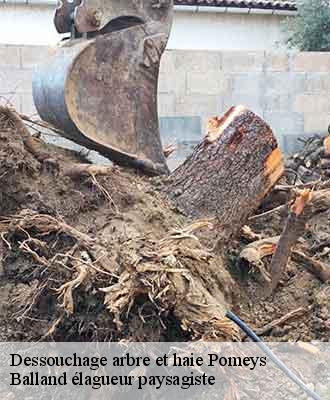 Dessouchage arbre et haie  pomeys-69590 Balland élagueur paysagiste