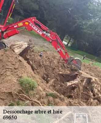 Dessouchage arbre et haie  quincieux-69650 Balland élagueur paysagiste