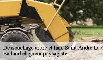 Dessouchage arbre et haie  saint-andre-la-cote-69440 Balland élagueur paysagiste