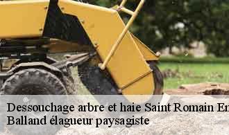 Dessouchage arbre et haie  saint-romain-en-gier-69700 Balland élagueur paysagiste