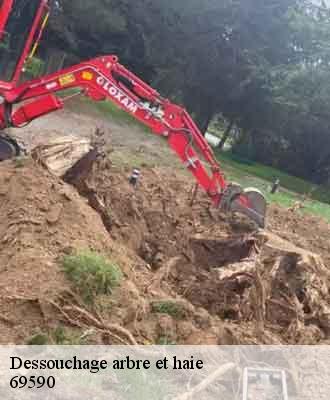 Dessouchage arbre et haie  saint-symphorien-sur-coise-69590 Balland élagueur paysagiste