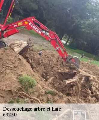 Dessouchage arbre et haie  taponas-69220 Balland élagueur paysagiste