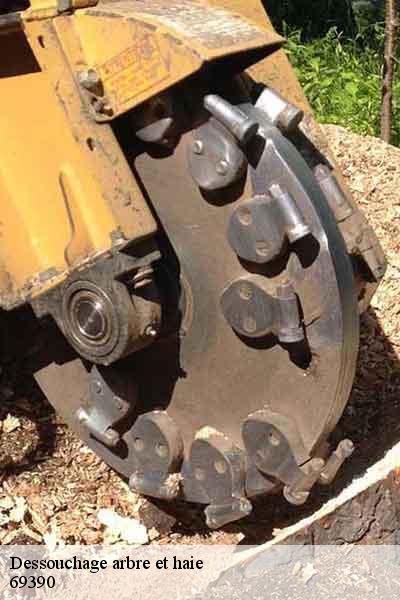 Dessouchage arbre et haie  vernaison-69390 Balland élagueur paysagiste