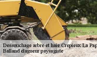 Dessouchage arbre et haie  crepieux-la-pape-69140 Balland élagueur paysagiste