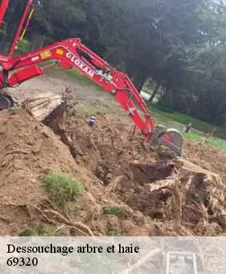 Dessouchage arbre et haie  feyzin-69320 Balland élagueur paysagiste