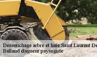 Dessouchage arbre et haie  saint-laurent-de-mure-69720 Balland élagueur paysagiste