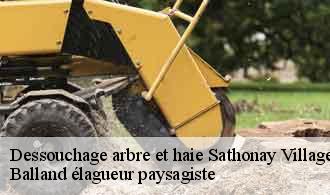 Dessouchage arbre et haie  sathonay-village-69580 Balland élagueur paysagiste