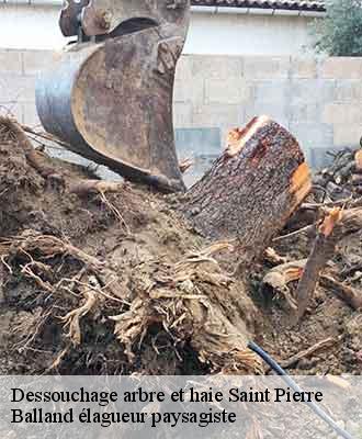 Dessouchage arbre et haie  saint-pierre-69480 Balland élagueur paysagiste