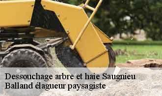 Dessouchage arbre et haie  saugnieu-69124 Balland élagueur paysagiste
