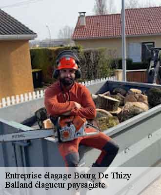 Entreprise élagage  bourg-de-thizy-69240 Balland élagueur paysagiste