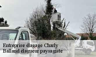 Entreprise élagage charly-69390 Balland élagueur paysagiste