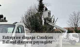 Entreprise élagage  condrieu-69420 Balland élagueur paysagiste