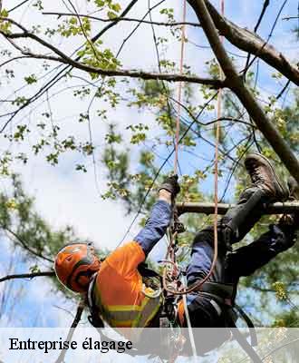 Entreprise élagage curis-au-mont-d-or-69250 Balland élagueur paysagiste