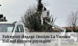 Entreprise élagage grezieu-la-varenne-69290 Balland élagueur paysagiste