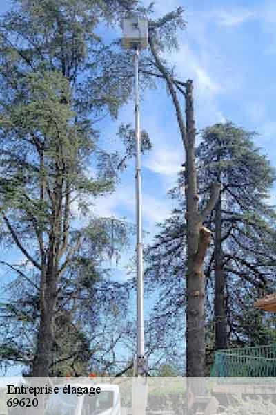 Entreprise élagage  oingt-69620 Balland élagueur paysagiste