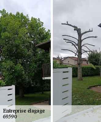 Entreprise élagage pomeys-69590 Balland élagueur paysagiste