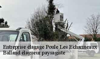 Entreprise élagage  poule-les-echarmeaux-69870 Balland élagueur paysagiste