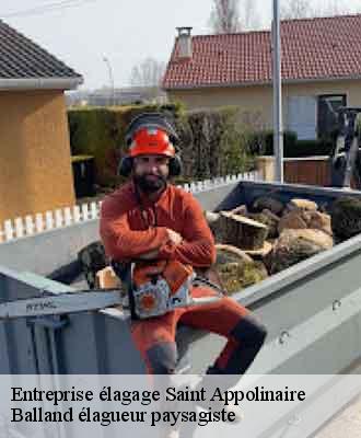 Entreprise élagage  saint-appolinaire-69170 Balland élagueur paysagiste