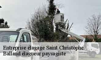 Entreprise élagage saint-christophe-69860 Balland élagueur paysagiste