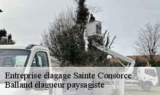 Entreprise élagage  sainte-consorce-69280 Balland élagueur paysagiste