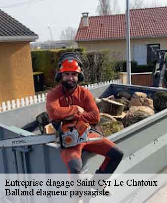 Entreprise élagage saint-cyr-le-chatoux-69870 Balland élagueur paysagiste