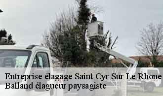 Entreprise élagage  saint-cyr-sur-le-rhone-69560 Balland élagueur paysagiste