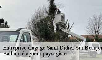 Entreprise élagage  saint-didier-sur-beaujeu-69430 Balland élagueur paysagiste
