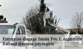 Entreprise élagage  sainte-foy-l-argentiere-69610 Balland élagueur paysagiste
