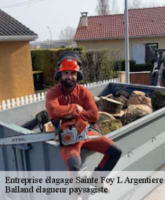 Entreprise élagage  sainte-foy-l-argentiere-69610 Balland élagueur paysagiste
