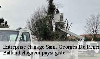 Entreprise élagage saint-georges-de-reneins-69830 Balland élagueur paysagiste