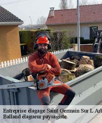 Entreprise élagage  saint-germain-sur-l-arbresle-69210 Balland élagueur paysagiste