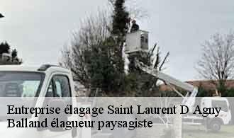 Entreprise élagage  saint-laurent-d-agny-69440 Balland élagueur paysagiste