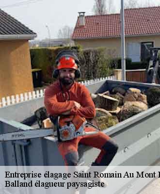 Entreprise élagage  saint-romain-au-mont-d-or-69270 Balland élagueur paysagiste