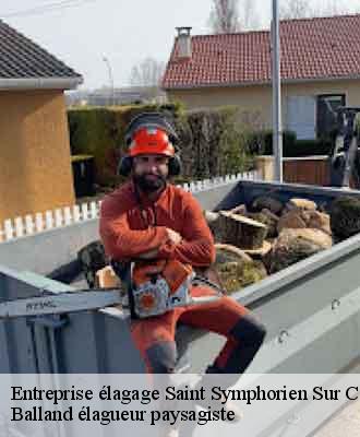 Entreprise élagage  saint-symphorien-sur-coise-69590 Balland élagueur paysagiste
