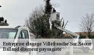 Entreprise élagage  villefranche-sur-saone-69400 Balland élagueur paysagiste