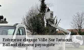 Entreprise élagage  ville-sur-jarnioux-69640 Balland élagueur paysagiste