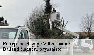 Entreprise élagage villeurbanne-69100 Balland élagueur paysagiste