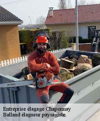 Entreprise élagage chaponnay-69970 Balland élagueur paysagiste