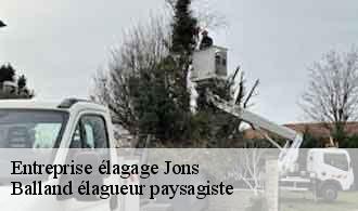 Entreprise élagage jons-69330 Balland élagueur paysagiste