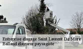 Entreprise élagage  saint-laurent-de-mure-69720 Balland élagueur paysagiste