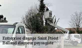 Entreprise élagage  saint-priest-69800 Balland élagueur paysagiste